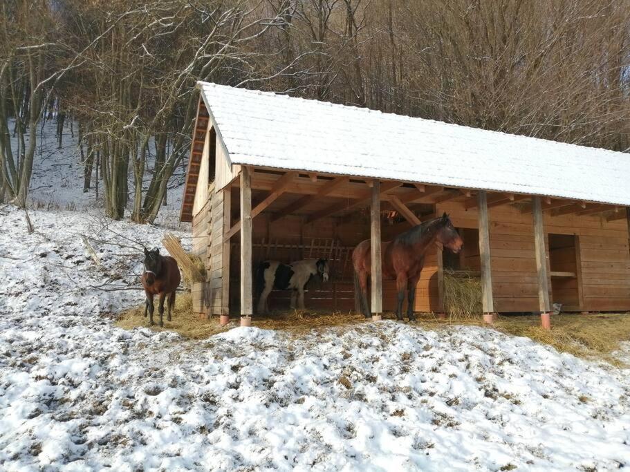 Oddychovy Pobyt Na Rodinnej Farme Matiaska ภายนอก รูปภาพ