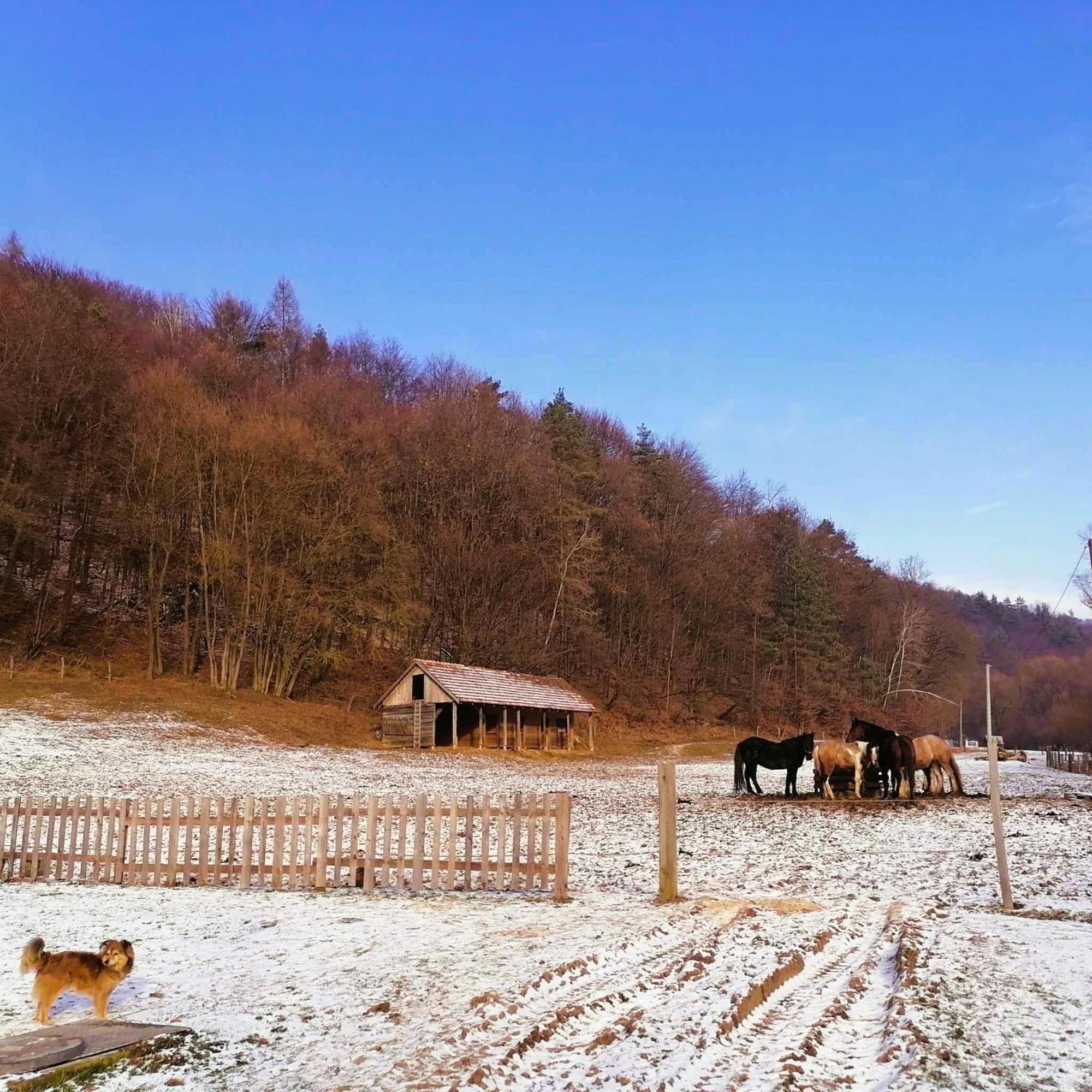 Oddychovy Pobyt Na Rodinnej Farme Matiaska ภายนอก รูปภาพ